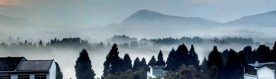 乡村振兴 田园综合体