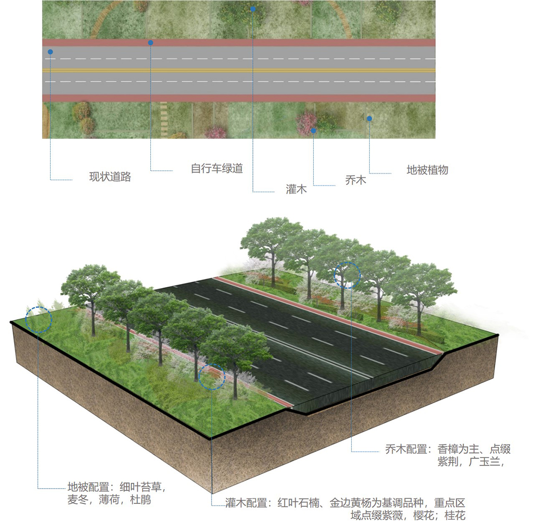 道路两侧绿化配置设计图