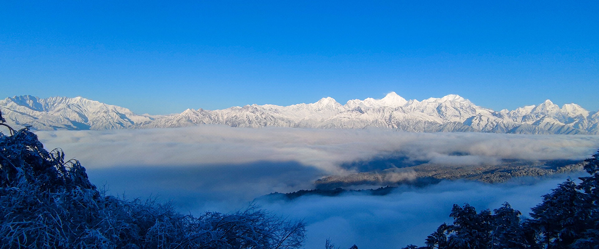 景区升级