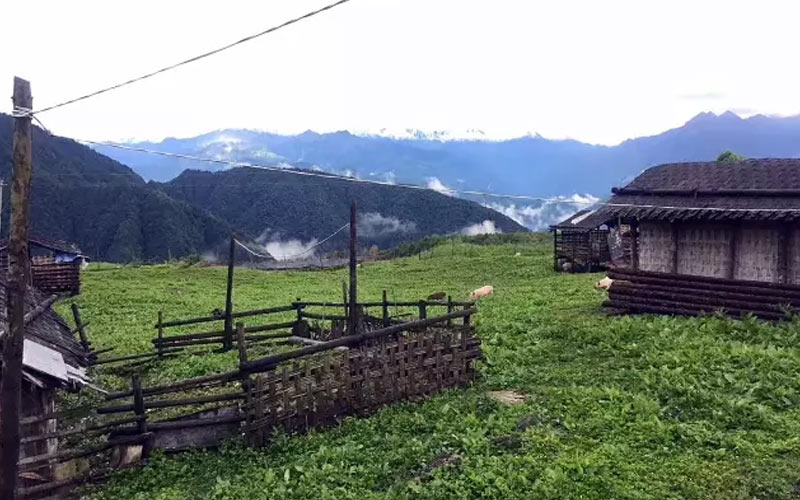 《中国国家地理》盛赞的“宝藏景区”——雅安王岗坪